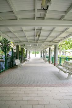 Path in a park