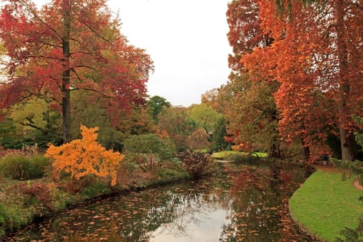 autumn landscape, nature reflects in a landscaped park in France