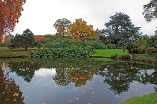 autumn landscape, the nature of reflection in a pond  France near Paris