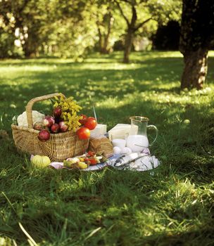 Bread, Fish and vegetables in a picnic basket