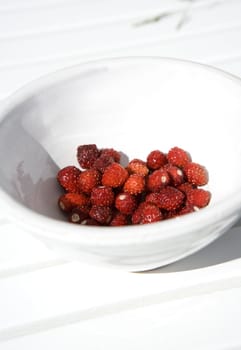 Close up of a plate with wild Strawberries