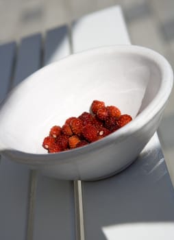 Close up of a plate with wild Strawberries