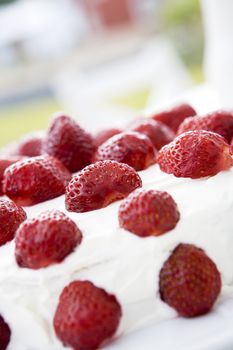 Close up of a Strawberry Cake