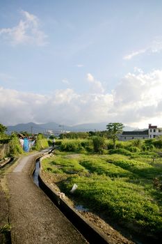 Farmland in Hong Kong