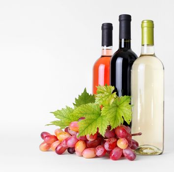 bottles of wine and grapes