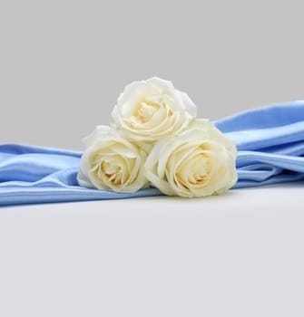 roses on silk background