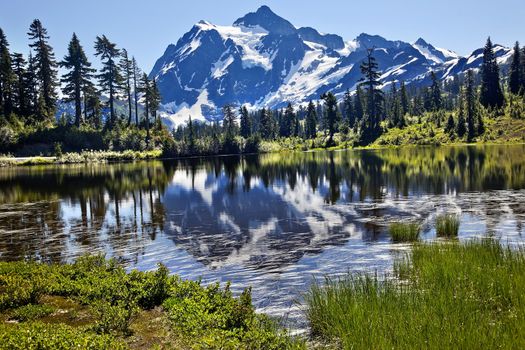 Reflection Lake Mount Shuksan Mount Baker Highway Snow Mountain Grass Trees Washington State Pacific Northwest