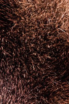 brown fur texture background