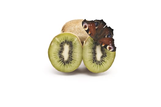 Kiwi and the butterfly on a white background