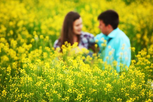 lovers hug on yellow flower field