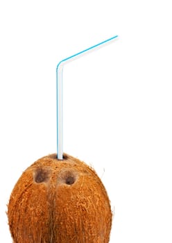 coconut with cocktail straw, white background