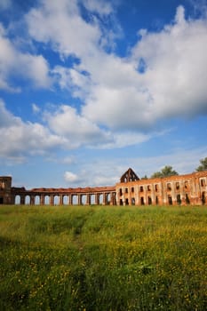 ruins of old castle on summer meadow