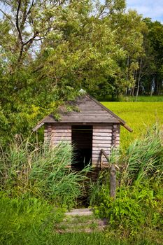 wooden cabin on swamp