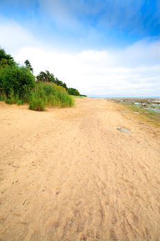 tropical seashore with greens under blue sky