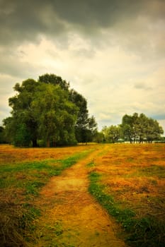 mown hay on summer meadow