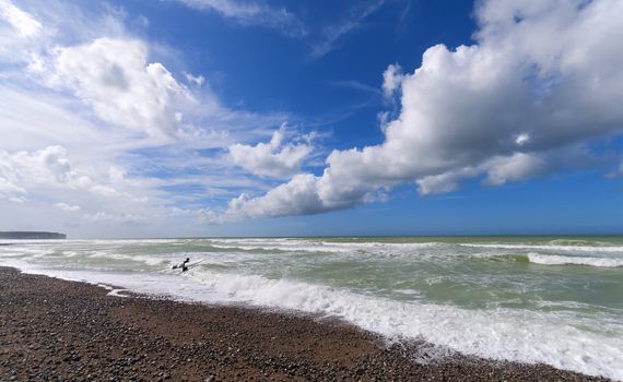 a surfer goes surfing