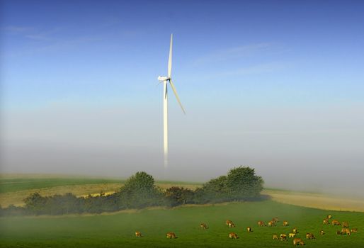 cows in a pasture with a wind turbine in the background