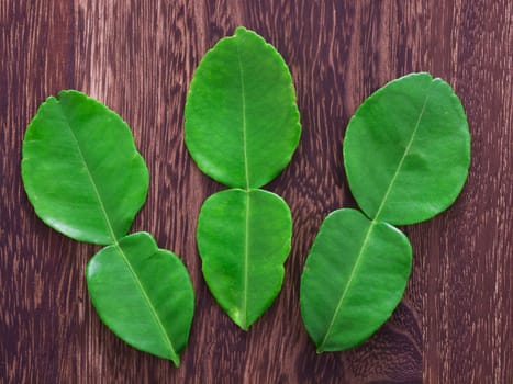 close up of kaffir lime leaves