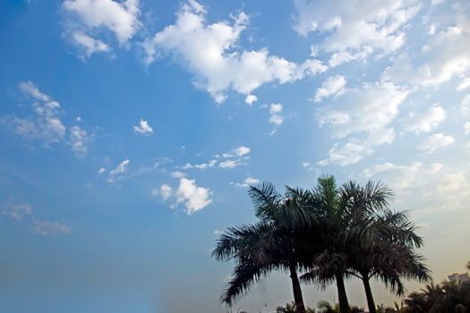 The beautiful white clouds and blue sky