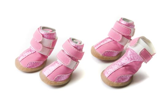 Pink dogs boots isolated on a white background
