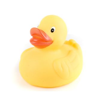 yellow duck isolated on a white background