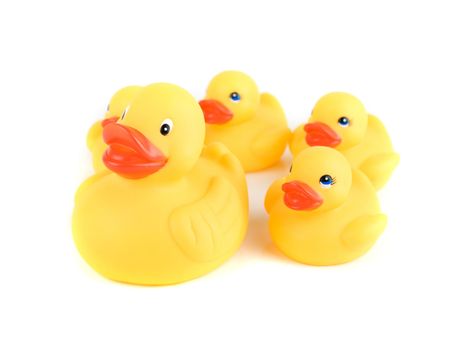 yellow ducks isolated on a white background