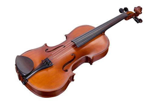 classic violin isolated on a white background