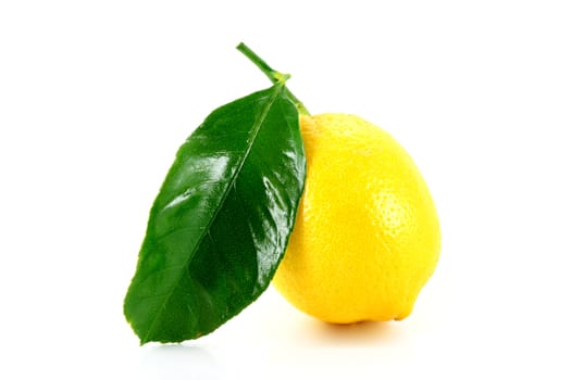 lemon with green leaf on white background Horizontal