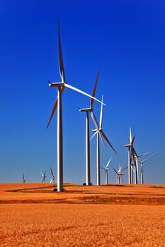 Wind Turbines Wheatfields Ripe Wheat for Harverst Palouse Washington