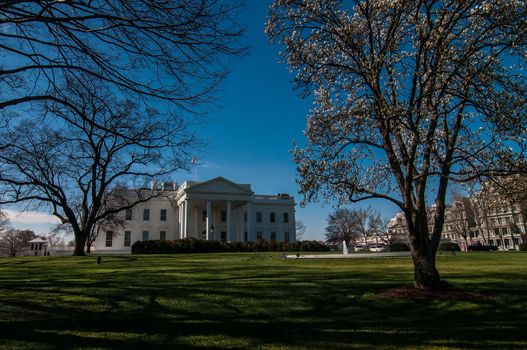 The White House in Washington DC with beautiful blue sky