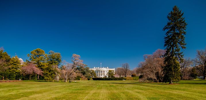 The White House in Washington DC with beautiful blue sky