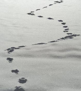 Footprints in snow full frame