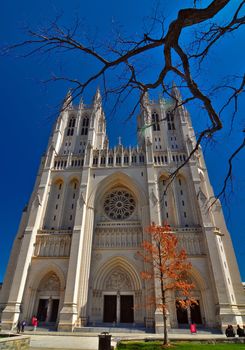 national cathedral washington dc - april 5, 2013