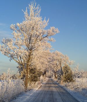 Winter landscape with blue sky