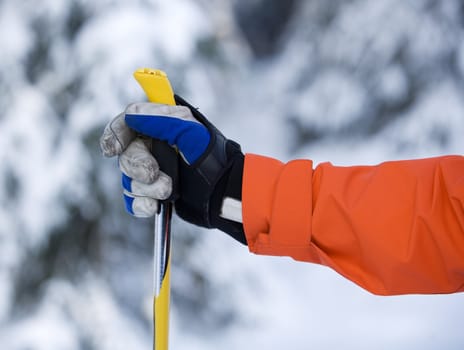 Hand and ski pole with selective focus