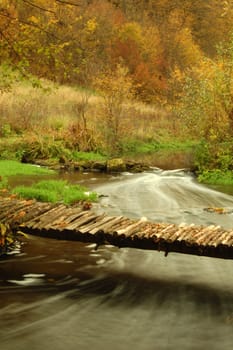 An image of a footbridge in autumn forest