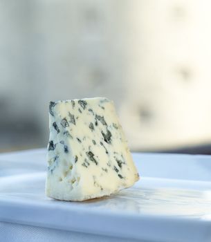 Still Life of Blue Cheese