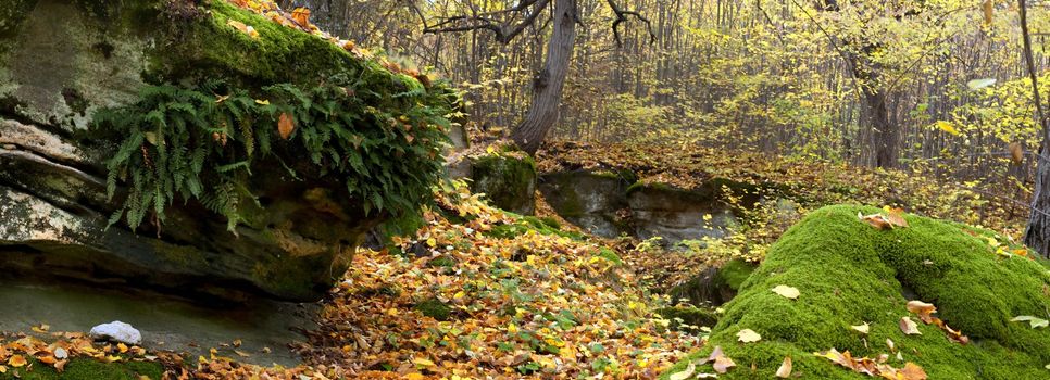 Panorama of stones in autumn forest