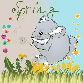 Spring illustration with chinchilla and pretty flowers