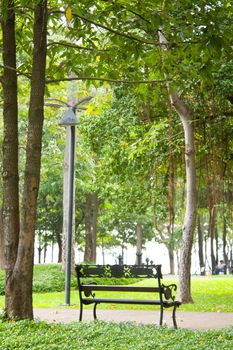 Bench in the park. Recreational area general nature.