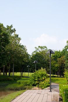 Stone bench in the park. Recreational area general nature.