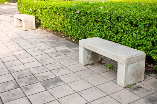 Stone bench in the park. Recreational area general nature.