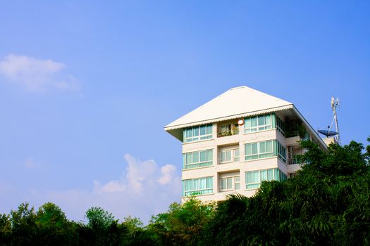 Condo high in the sky. Trees, nature With a satellite dish.