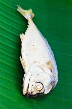 Chub mackerel on a banana leaf.