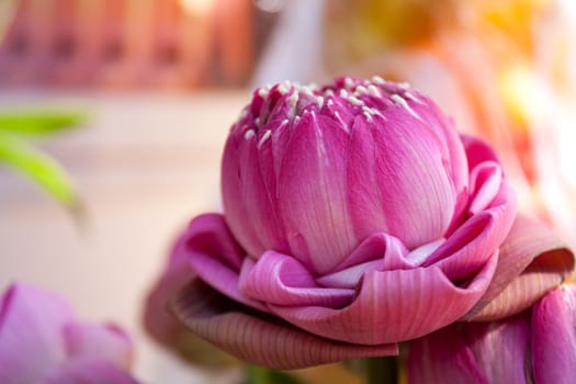 Folded into lotus petals. Style is decorated with the delicate Thai culture.
