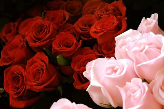 decorative beautiful bouquet of red fresh roses