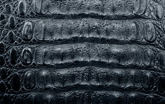 texture of a crocodile leather of black color as a background