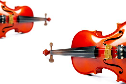 Classic instrument, Violin on white background