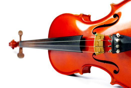 Classic instrument, Violin on white background