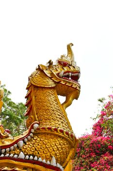 statue king of nagas in front of buddhism temple, Thailand